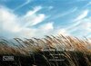 Buchcover Haschen nach Wind