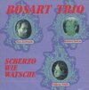 Buchcover Scherzo wie Watsche