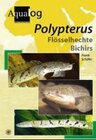 Buchcover Polypterus
