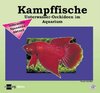 Buchcover Kampffische