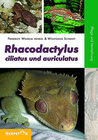 Rhacodactylus ciliatus und auriculatus width=