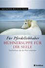 Buchcover Hühnersuppe für die Seele - für Pferdeliebhaber