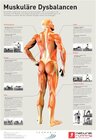 Buchcover Muskuläre Dysbalancen