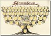 Buchcover Schmuckbild "Stammbaum"