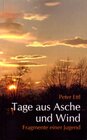 Buchcover Tage aus Asche und Wind