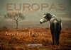 Buchcover New Forest Ponys