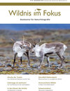 Buchcover Wildnis im Fokus III