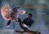 Buchcover Abenteuer Wildes Europa