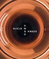 Buchcover Alicja Kwade – AMBO