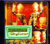Buchcover Spiritual Skyliner - Bhajans Vol. 2