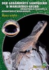 Buchcover Der Gebänderte Samtgecko & Wahlbergs Gecko
