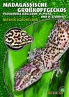 Buchcover Madagassische Großkopfgeckos