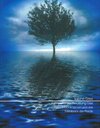 Buchcover Kompetenzentwicklung Live