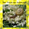 Buchcover Der Traum der Schnecken