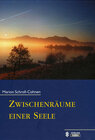 Buchcover Zwischenräume einer Seele