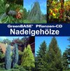 Buchcover Nadelgehölze