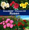 Buchcover Rosen