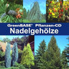 Buchcover Nadelgehölze