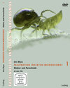 Buchcover Faszination Insekten-Mikrokosmos 1 Räuber und Parasitoide