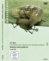 Buchcover Faszination Insekten-Mikrokosmos 3 Blattläuse leben gefährlich