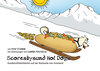 Buchcover Scoresbysund Hot Dogs