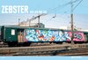 Buchcover ZEBSTER