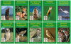 Buchcover Filme aus der Tierwelt Europas auf 10 DVD-Videos