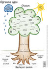 Buchcover Lernbaum (türkisch)