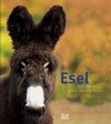 Buchcover Esel Europas