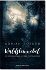 Buchcover Waldsteinnebel