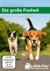Buchcover Die große Freiheit