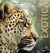 Buchcover Porzellanmalerei, Exotica