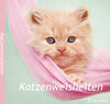 Buchcover Rachael Hale Katzenweisheiten