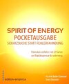 Buchcover Spirit of Energy, Pocketausgabe für die Schatzsuche statt Fehlerfahndung