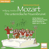 Buchcover Abenteuerland Klassik / Wolfgang Amadeus Mozart und die unterirdische Feuersbrunst