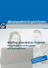Buchcover iBusiness Briefingleitfaden 2011