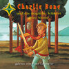 Buchcover Charlie Bone und das magische Schwert