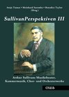 Buchcover SullivanPerspektiven III