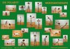 Buchcover Schautafel: Die Meridianübungen