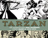 Buchcover Tarzan: Die kompletten Russ Manning Strips / Band 8 1976 - 1979