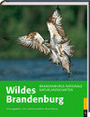 Buchcover Wildes Brandenburg