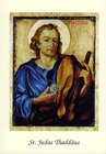 Buchcover St. Judas Thaddäus