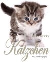 Buchcover Kätzchen - Fine Art Photography