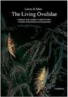 Buchcover The living Ovulidae