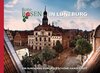 Buchcover Rote Rosen in Lüneburg