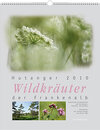 Buchcover Hutanger 2010 - Wildkräuter der Frankenalb