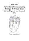 Buchcover Arbeitsbuch Zweiundzwanzig Erzengel ihr Wirken durch Erzengel - Sprays und Erzengel - Öle