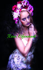Buchcover Rosa Elfenstaub