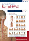 Buchcover Lernposter Anatomie-Muskulatur