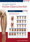 Buchcover Lernposter Anatomie-Muskulatur